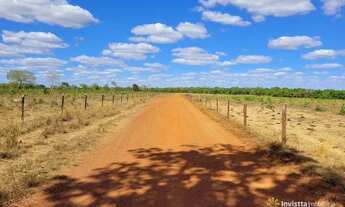 Imagem 4: Fazendas em Tocantins