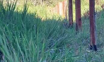 Imagem: Sitio em Cáceres