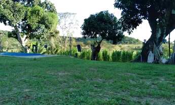 Imagem 6: Fazendinha Chácara com venda por R$185.000