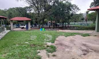 Imagem 7: FLORESTAL - Fazenda - Zona Rural