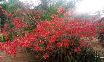 Imagem 7: Chácara para locação, Piracaia/ sp