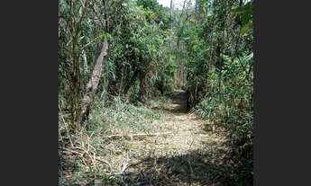 Imagem 6: TERRENOS PARA CHACARAS