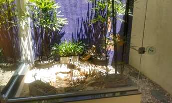 Imagem 4: Casa para locação 12 salas, gerador, quintal