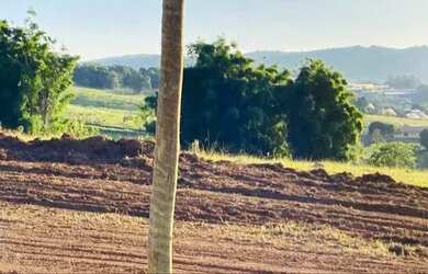 Imagem 2: Imóvel para venda tem 500 metros com matrícula