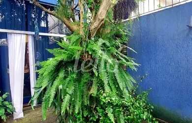 Imagem 7: São Paulo - Casa Padrão - Saúde