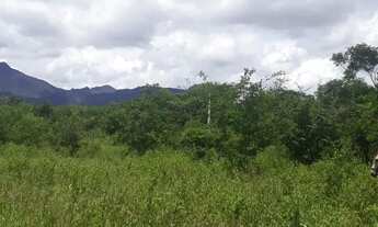 Imagem 4: Terreno em Arapiranga localizado no povoado "Prata" 30 km de Rio de Contas