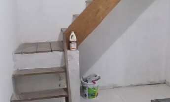 Imagem 2: Kit net (terra firme, conjunto flora