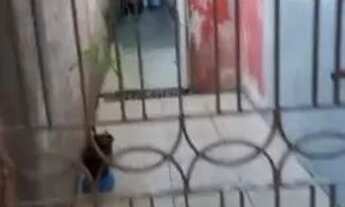 Imagem 2: CASA RESIDENCIAL em SÃO PAULO - SP, CIDADE LÍDER