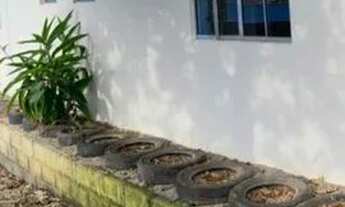 Imagem: Kitnet Aluguel Anual. Norte da ilha