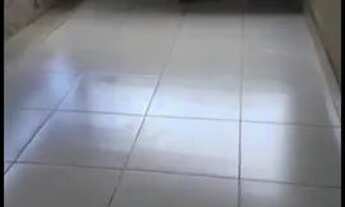 Imagem 3: Casa Buriti Sereno - 3/4