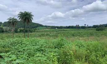 Imagem 3: Fazenda 3ha, com 3km de beira de rio, nascente no terreno, terra de cultivo, Lagoa Santa