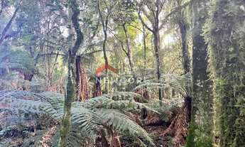 Imagem 6: Lote em Rua 21 - Alpes - São Francisco de Paula/RS