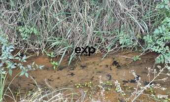 Imagem: Chácara em Agudos Do Sul bairro Papanduva