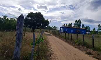 Imagem 4: Vende-se sitio com casa 160,00