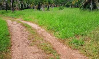 Imagem 2: Fazenda à Venda em Diorama GO