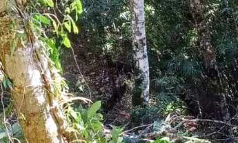 Imagem 4: Terreno em Nova Friburgo, Teodoro Oliveira, Serra Nevada, área de proteção ambiental