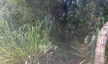 Imagem 2: Imóvel para venda com 20000 metros quadrados em Lago Sul - Brasília - DF