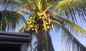 Imagem 7: Chácara em Rua Amancia Maria Carriel - Portal das Nogueiras - Tatuí/SP