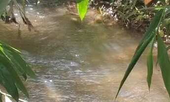 Imagem 7: Chácara no município de Leopoldo de Bulhões