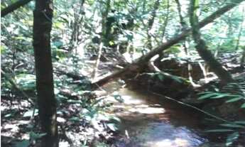 Imagem 4: Sítio à venda em Chapada dos Guimarães - MT