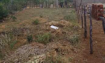 Imagem 6: Oportunidade de ano novo