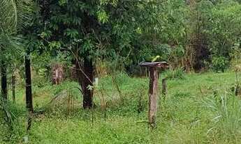 Imagem 7: Chácara em Bela vista