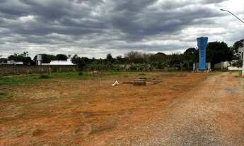 Imagem 6: Lote 400 m² - Ponte Alta Norte do Gama - Rua das Palmeiras