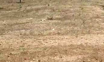 Imagem 4: SÍTIO 17 ALQUEIRES COM ESTRUTURA COMPLETA! EM NIQUELÂNDIA