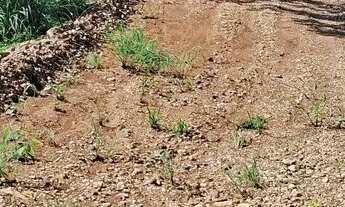 Imagem: Chácara Paraíso do Sonho a venda