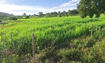Imagem 3: Sitio na estrada da produção !