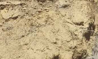 Imagem 5: Lote Itaipava Terreno / lote com venda por R$70.000