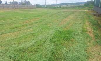 Imagem 2: Terreno no Alpha Empresarial