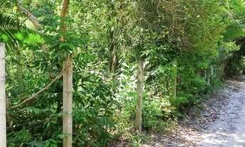 Imagem 6: Terreno belíssimo a 6 minutos do mar de Moreré