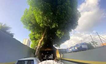 Imagem 3: Ponto Comercial Espaçoso com 10 Vagas de Garagem - Ótima Localização