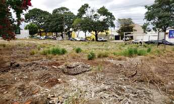 Imagem 4: Lotes comerciais para locação na Avenida Professor João Fiúsa