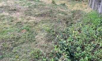 Imagem 5: Terreno à venda, 376 m² por R$ 280.000,00 - Vila Verde - Itapevi/SP