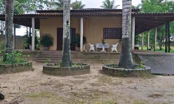 Imagem 3: Vendo Linda Chacara em Limoeiro de Anadia! Tratar com Jackson