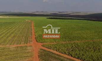 Imagem 4: Fazenda em Mineiros-GO. Área Total: (379 Alqueires) 1.835 Há