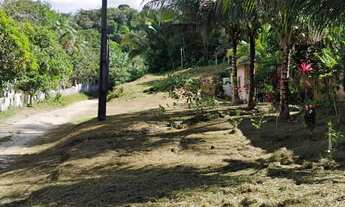 Imagem 2: Sítio valor 130.000,00