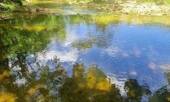 Imagem: Chacara 6.000 mt com rio