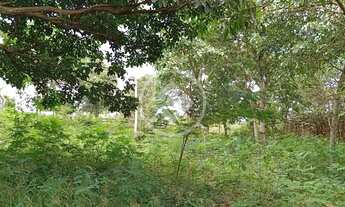 Imagem: Vende chácara na comunidade ninho das aguas