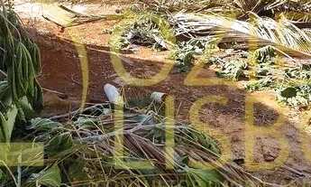 Imagem: LOTE 400m COM 9m DE FRENTE 100 PLANO MURADO