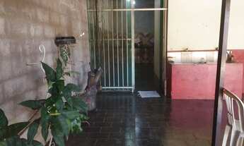 Imagem 4: Sitio em igarape top vai com tudo dentro!!