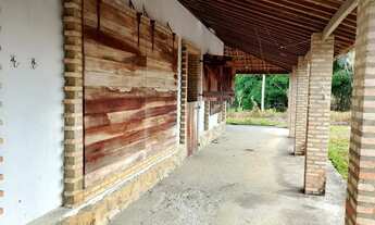 Imagem: Vendo sitio em nova descoberta 13 tarefas