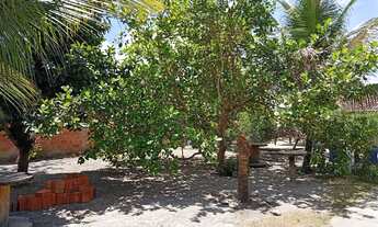 Imagem 6: Vende-se chácara no povoado pirunga /capela