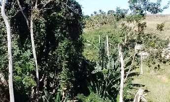 Imagem 3: Terreno escriturado 300 M²