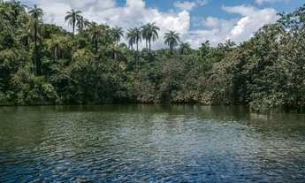Imagem 4: Terrenos de 20.000m2 em Condomínio Excelente Localização de Lagoa Santa