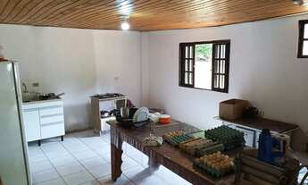 Imagem 6: Chácara 3 mil metros