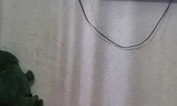 Imagem 3: Diego Apartamento com 1 dormitório