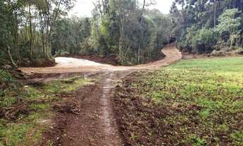 Imagem 7: Chácara com 6,1 alqueires Marmeleiro - Almirante Tamandaré